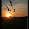 20050610_084